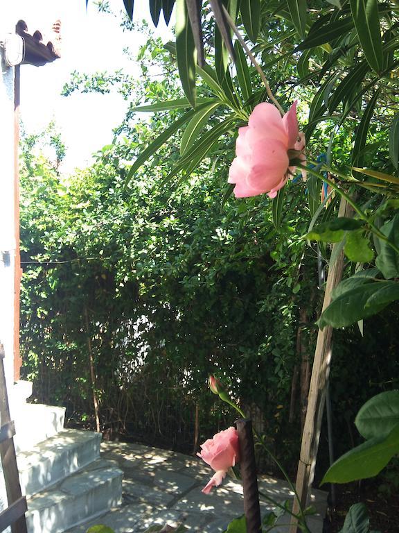 Kyriaki Hotel Skopelos Exterior foto