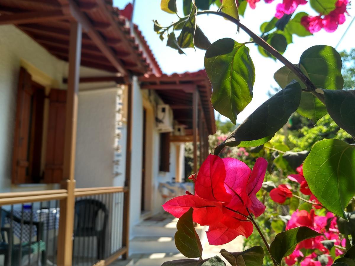 Kyriaki Hotel Skopelos Exterior foto
