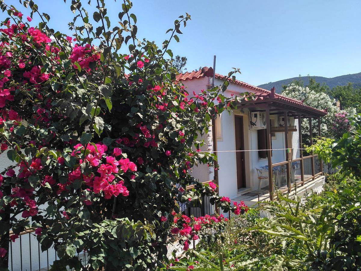 Kyriaki Hotel Skopelos Exterior foto