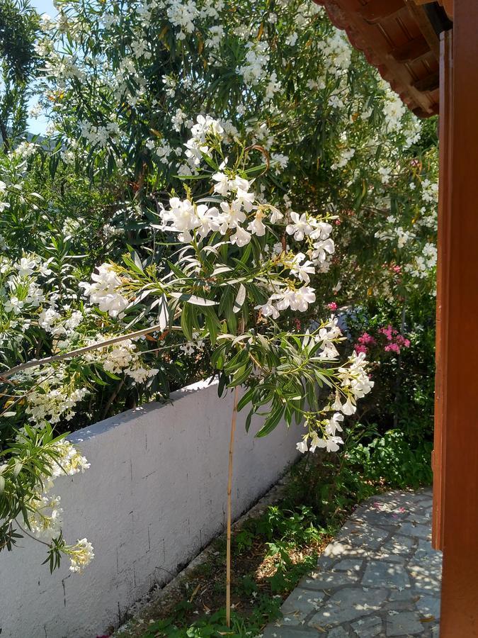 Kyriaki Hotel Skopelos Exterior foto